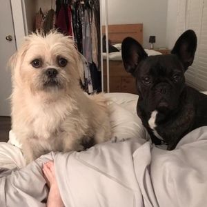 Meet your Posher, Beverley